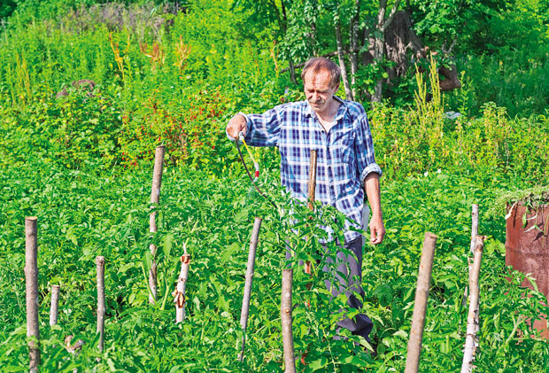 Ево како да припремите природне препарате за заштиту биљака